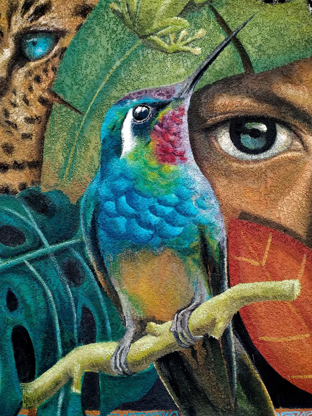 A TRAVÉS DE LA SELVA AMAZÓNICA: Un libro boliviano fundamental, totalmente desconocido en Bolivia